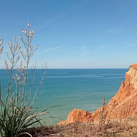 شقة Your House At Falesia *