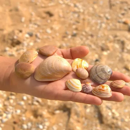 Your House At Falesia Albufeira